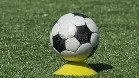 澳网新晋冠军辛纳竟是AC米兰铁杆粉丝！